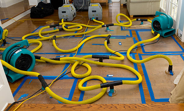 Professional Basement Flood Cleanup technician working in Slingerlands, NY